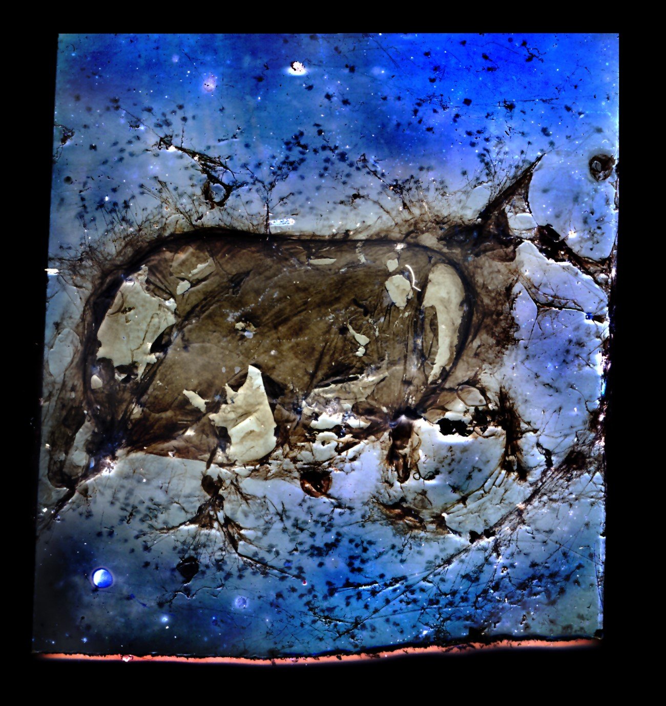 Fotografische Platte nach achtjähriger Belichtung: tiefblaues Feld, in der Mitte eine olivbraune ovale Form, die Emulsion ist rissig, teils abgeplatzt und von dunklen, verzweigten Spuren durchzogen.